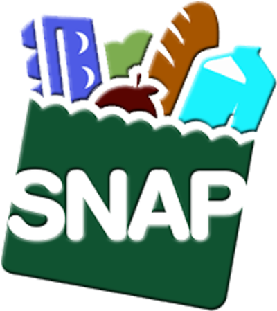 Visa Master Card Visa Master Card Visa Master Card - Supplemental Nutrition Assistance Program (457x493)