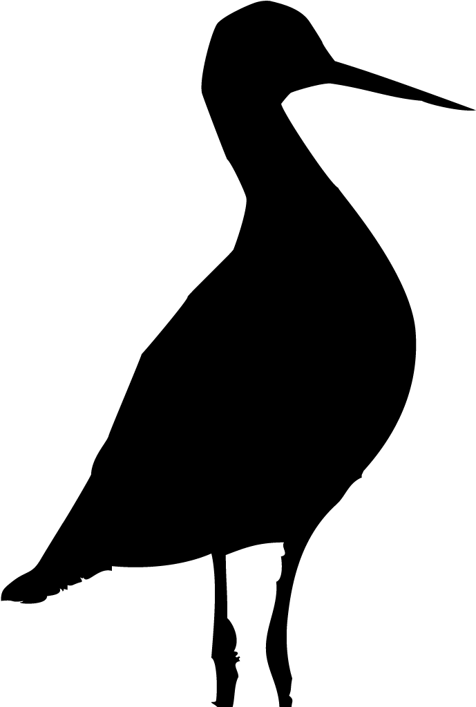 Shorebirds - Silhouette Sea Bird Png (1024x1024)