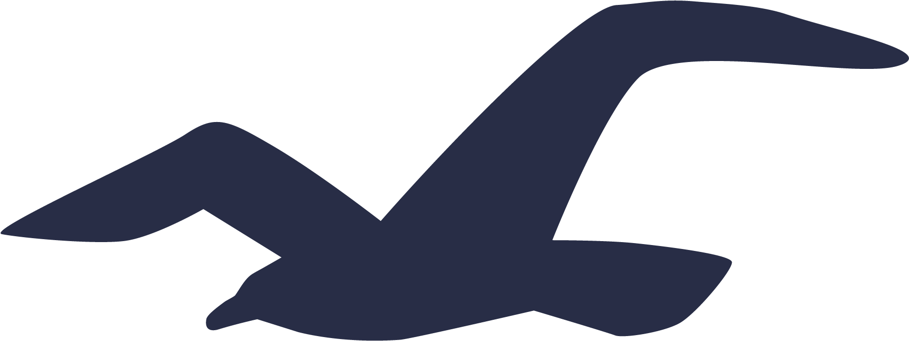 Seagull Clipart - Hollister Bird Transparent (1920x1080)