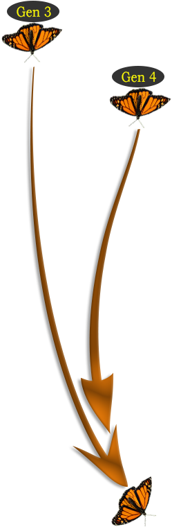 Adults From Gen - Illustration (1064x988)