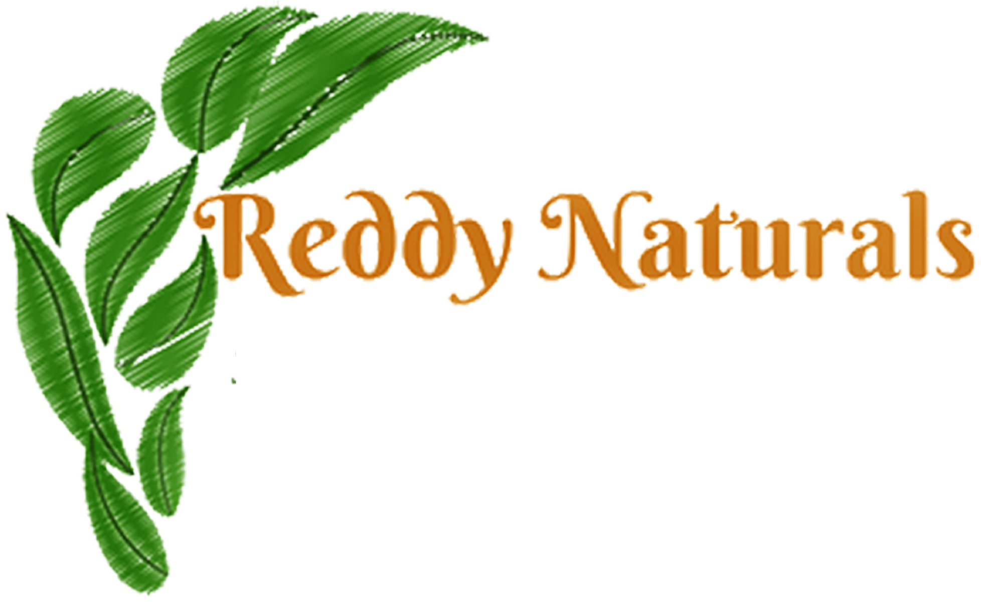 Reddy Naturals Reddy Naturals - Green Leaves Drawing (2000x1226)