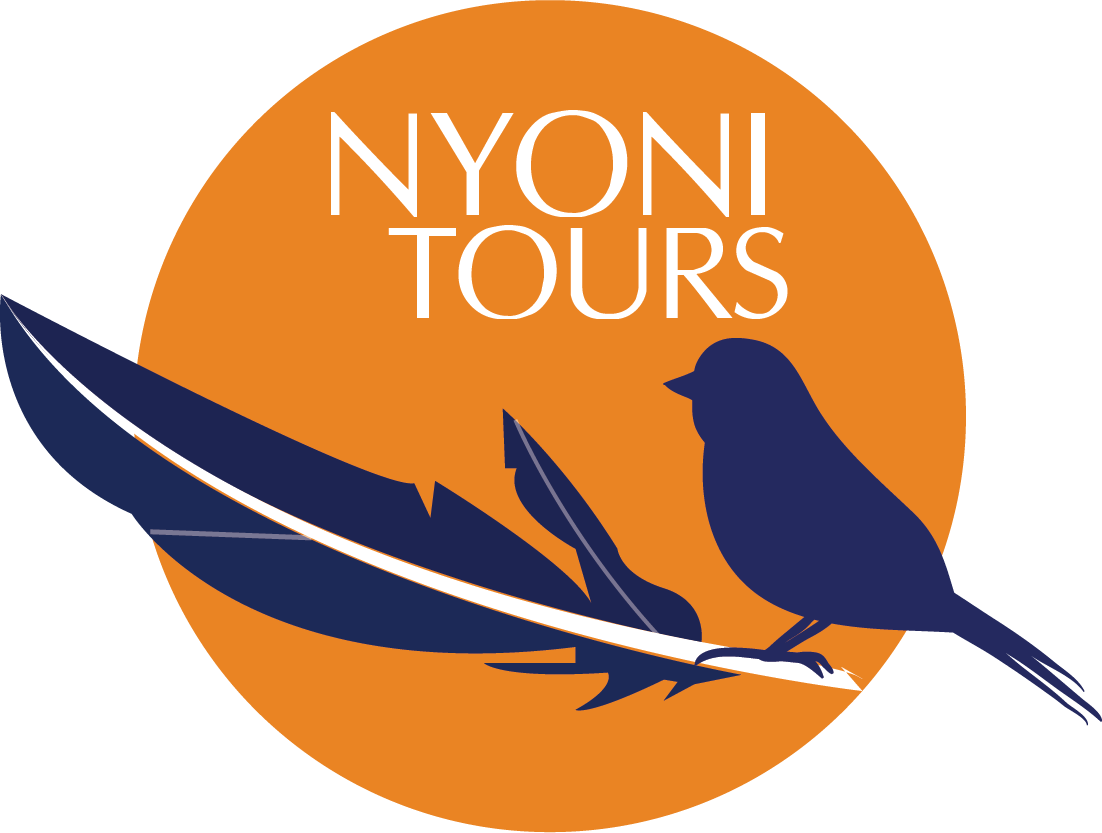 Mountain Bluebird (1102x833)