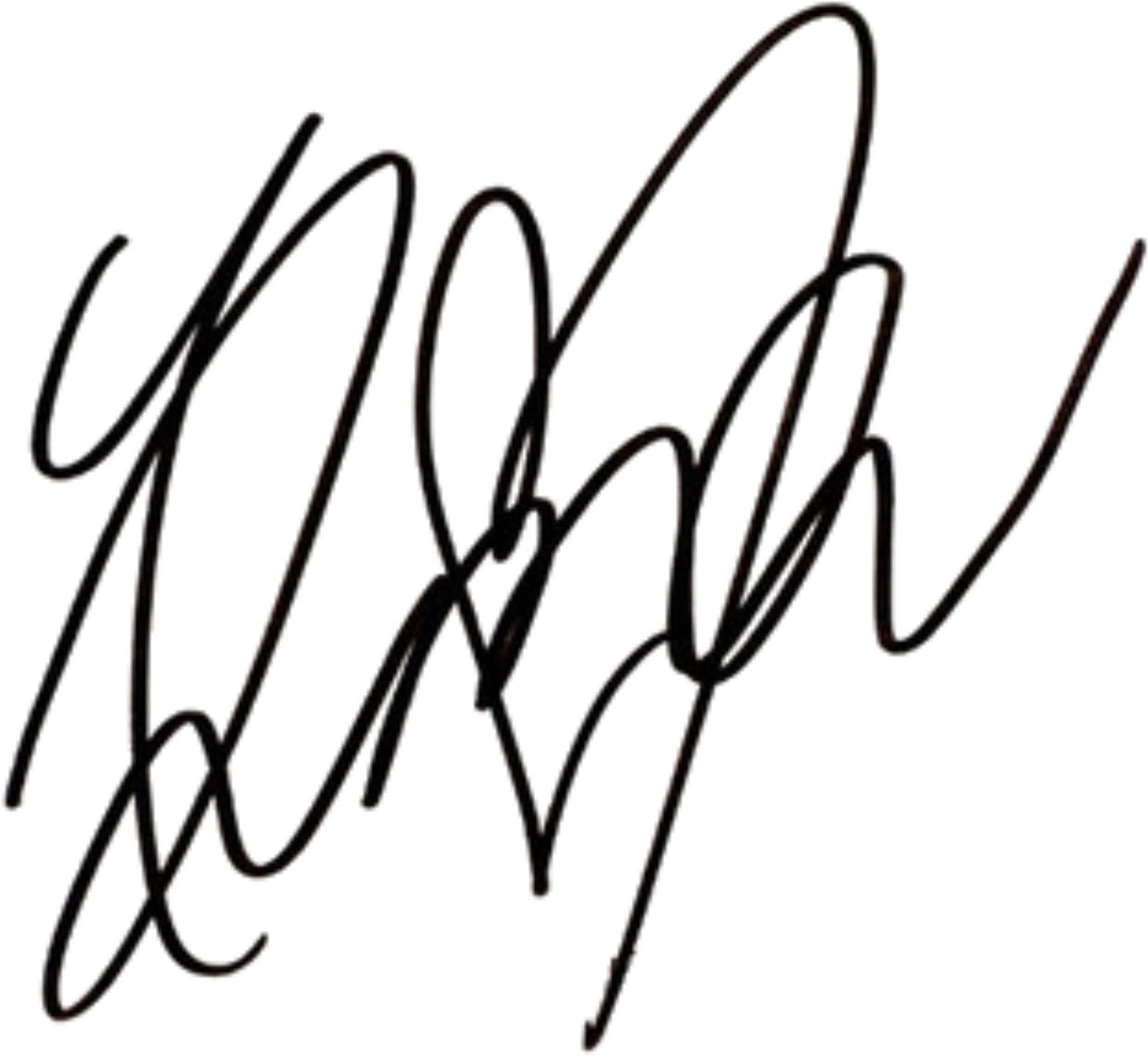 Open - Japan Signature (2000x2009)