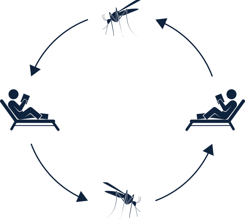 Www - Mayo - Edu - Resources/images/ - Www - Mayo - Edu - Resources/images/ (814x728)