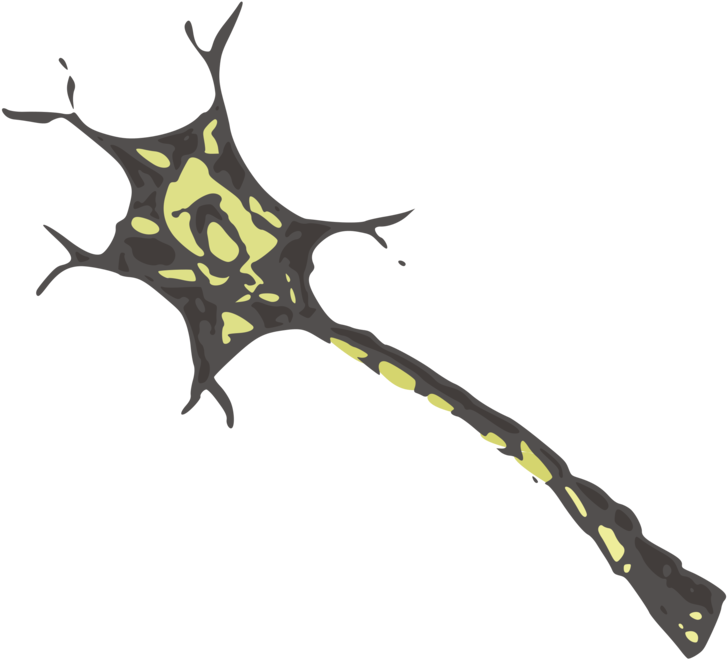 All Photo Png Clipart - Neuron .png (750x750)