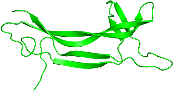 <div Class='caption-body'>1 Copy Of Scop Domain < - Illustration (800x800)