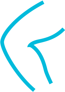 Nerves And Restore Normal Function - Nerves And Restore Normal Function (501x500)