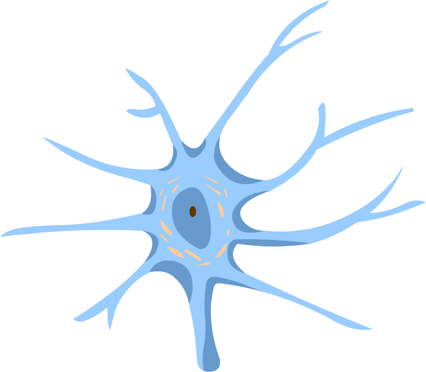 Nervous System - Peripheral Nervous System (880x880)