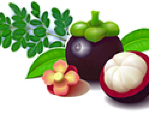 Healthy Business Consulting Save 15% Off And Free Shipping - Healthy Business Consulting Save 15% Off And Free Shipping (500x383)