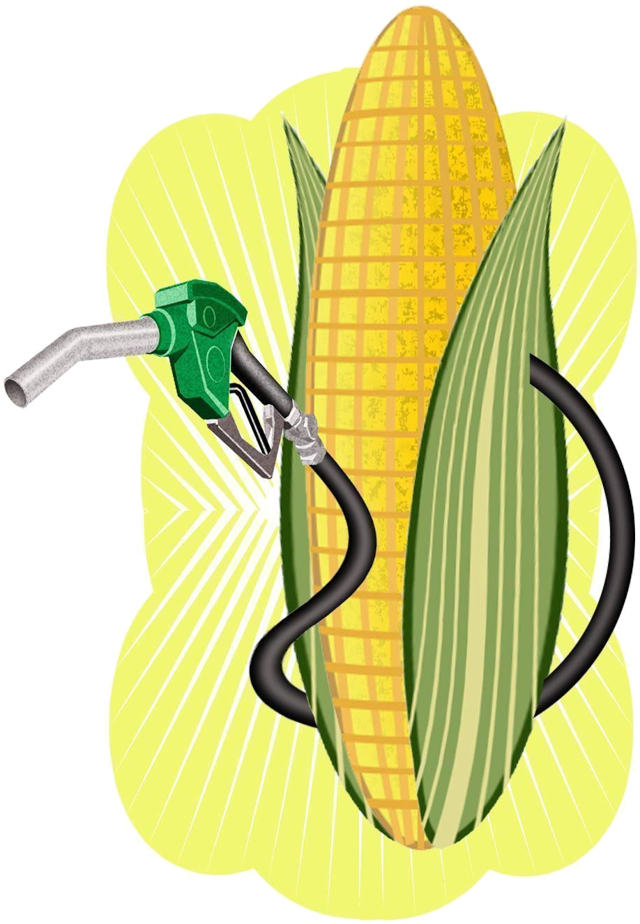 Corn Ethanol Clipart (956x1336)
