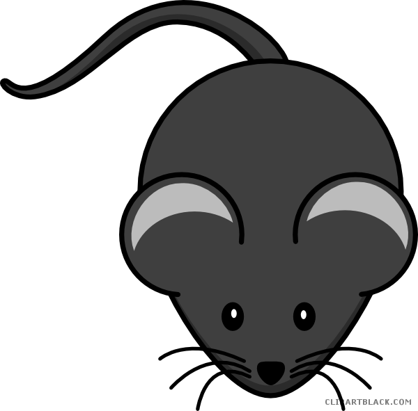 Cute Mouse Clipart - Mouse Clipart (600x591)