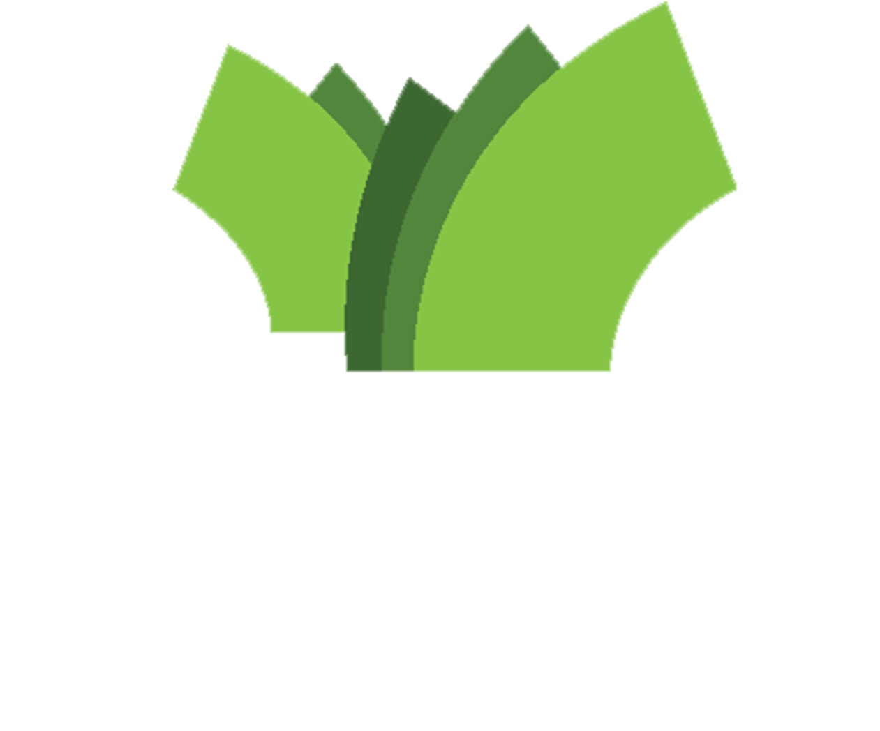 Svg Library Stock Immigrant And Center Of Northern - Immigrant & Refugee Center Of Northern Colorado (1500x1281)