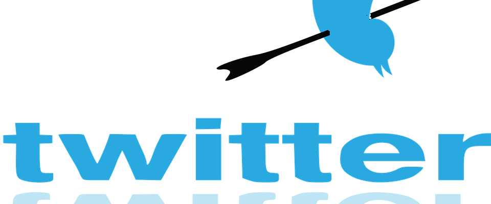 Twitter Actively Protecting Doxxing Posts By Left-wing - Twitter (960x400)