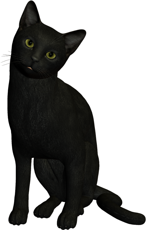 Blog De Gifs Y Imágenes - Gatos Gif Png (550x800)