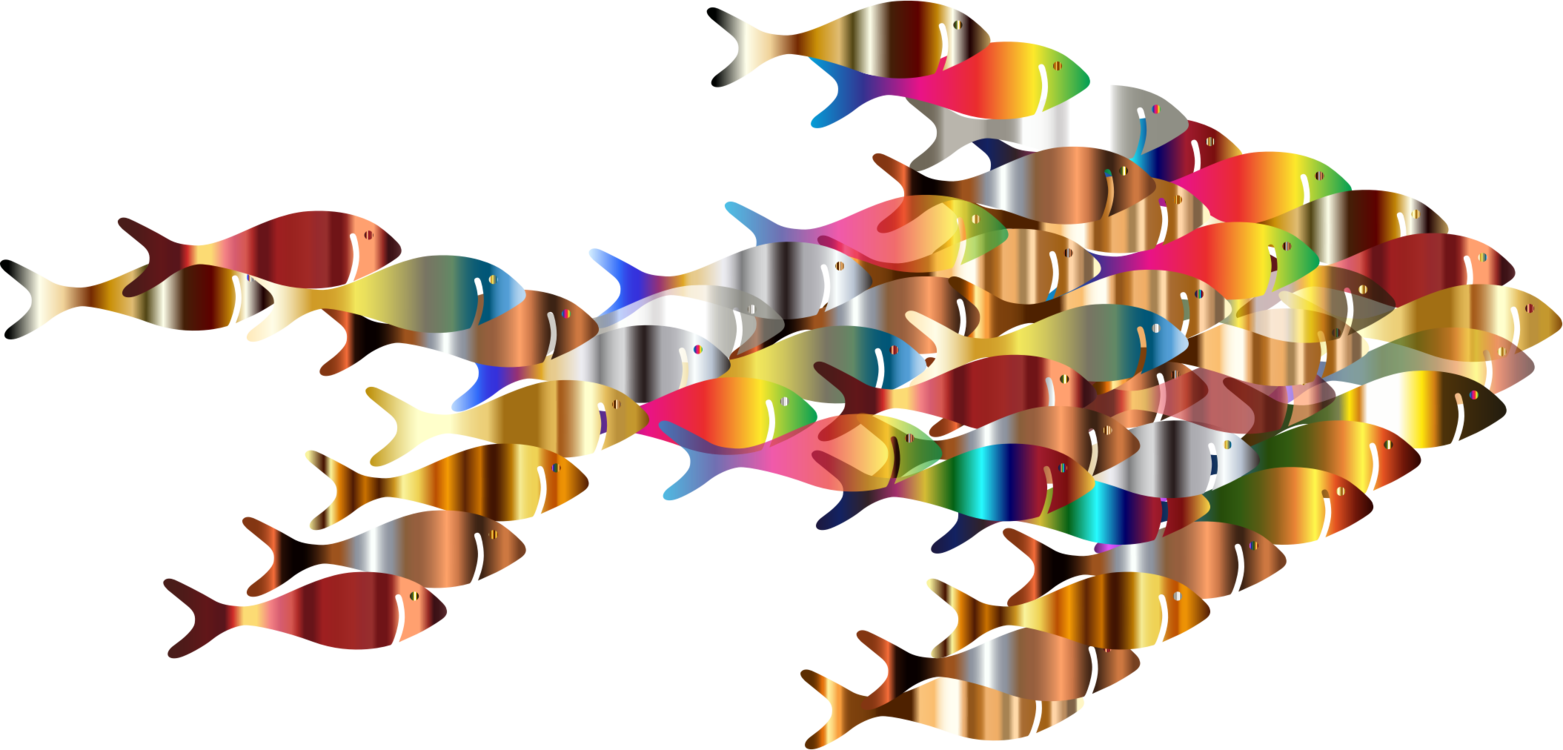 Fractal Fish Computer Icons Windows Metafile Pdf - Fractal Fishes (1563x750)
