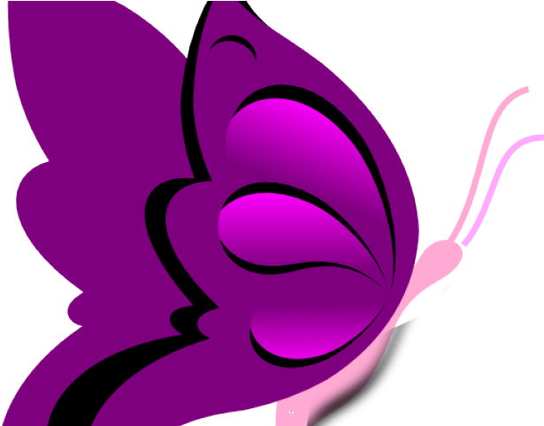 Fractal Clipart Cartoon - Clip Art (640x480)