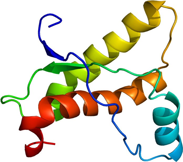 Clipart Free Download Know Your Prion Diseases Neuroscientifically - Prion Protein (746x665)