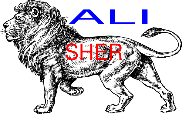 Ali Sher Clip Art - Lion Full Body Drawing (600x376)