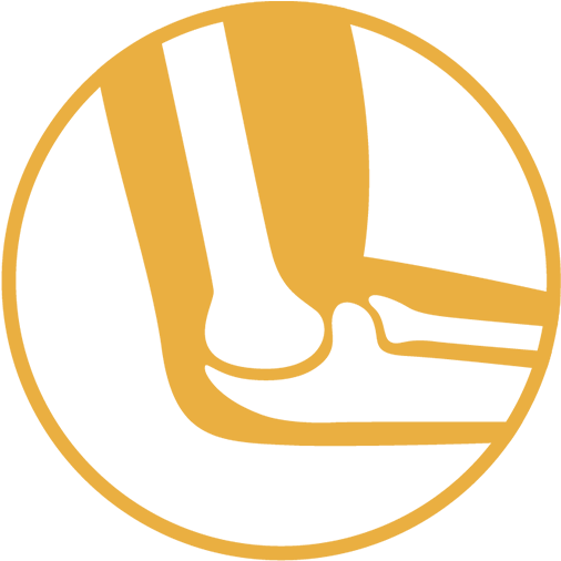 Orthopedic Surgery - Orthopedic Surgery (730x730)