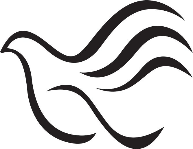 Peacehealth Plastic Surgery - Plastic Surgery (729x540)