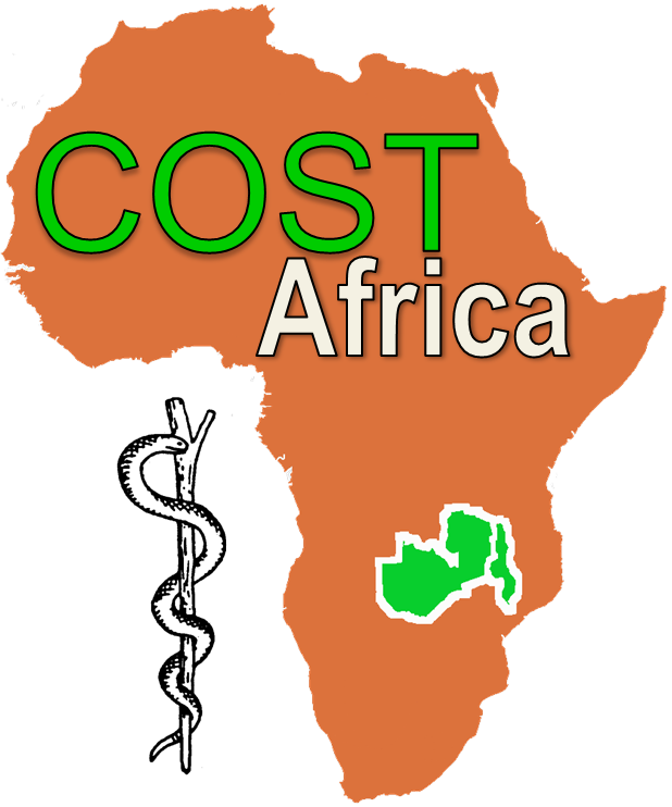 Clinical Officer Surgical Training In Africa Logo - Map Of Africa Silhouette (618x742)