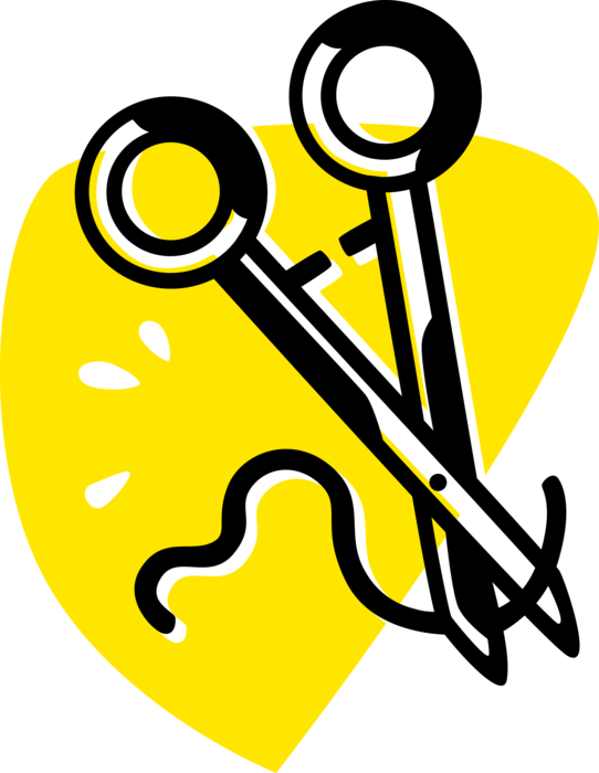 Stitches Vector Surgical Jpg Royalty Free - Illustration (542x700)