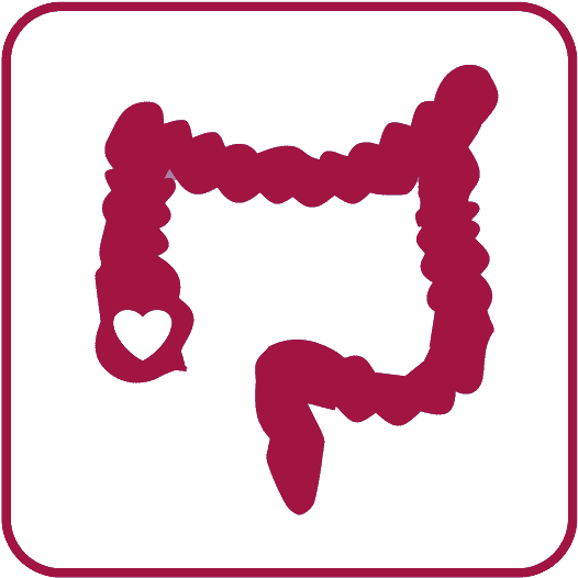 Colorectal Surgery - Large Intestine (592x591)