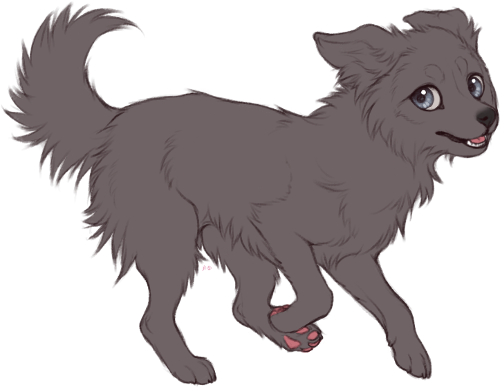 Png Transparent Download Collie Drawing - Dog Base Collie Drawing (735x569)