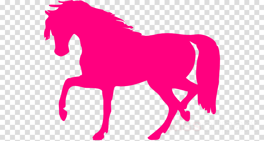 3drose Ct 193617 2 Keep Calm And Love Horses - Clipart Eyes Black And White (900x480)