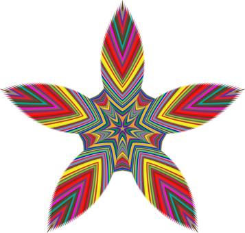 Computer Icons Star Chart Dots Per Inch Starfish - Illustration (357x340)