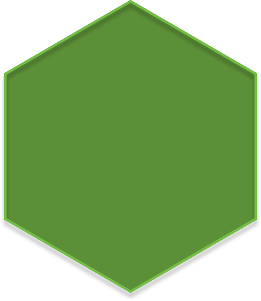 Businesses In North America And Europe Have Always - Hexagon Shape No Background (859x990)