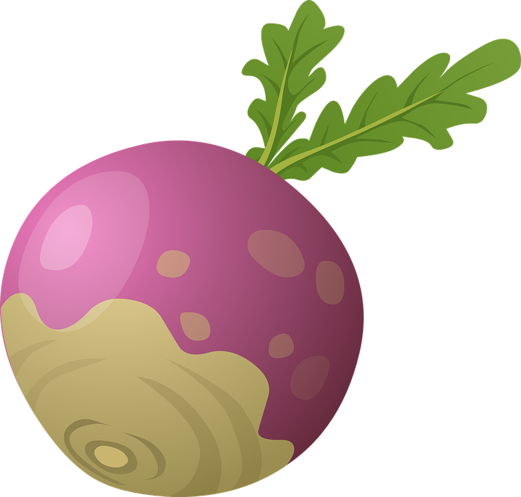 Beetroot Clipart Sugar Beet - Turnip Clipart (755x720)