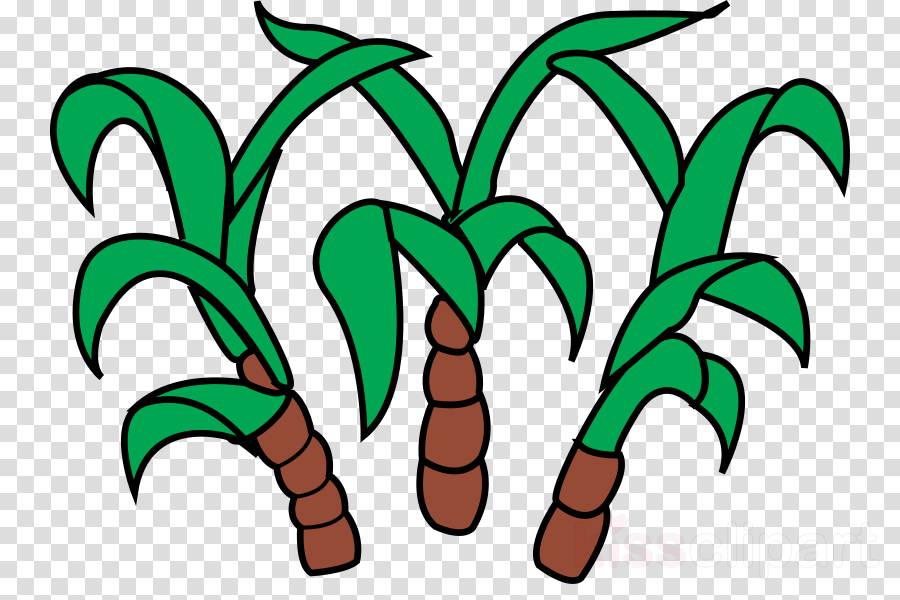 Sugar Cane Png Clipart Candy Cane Sugarcane Clip Art - Sugar Cane Clipart Png (900x600)