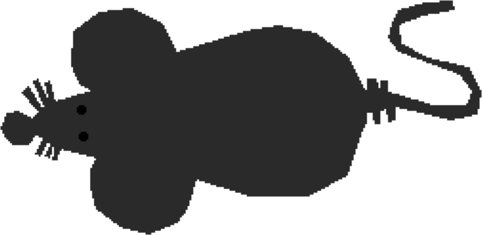 All Photo Png Clipart - Red Fox (1534x750)