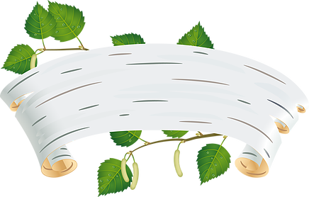 Больше - " - Фон Для Презентации Березы (436x278)