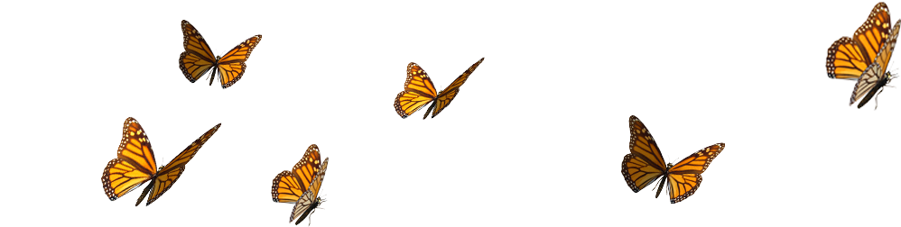 Galleries - Monarch Butterfly (1200x300)