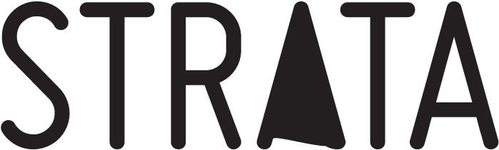 About The Artists Bookings Excerpts Performances Photos - Velostrata Logo (800x450)
