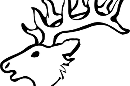 Deer Head K Pictures - Draw A Easy Deer (450x300)