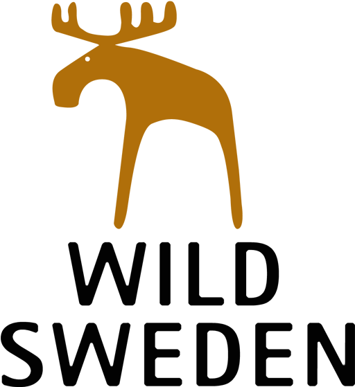 10 Wild Animals In Sweden Wildsweden - 10 Wild Animals In Sweden Wildsweden (600x601)
