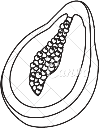 Papaya Drawing Banner Download - Vector Graphics (550x550)