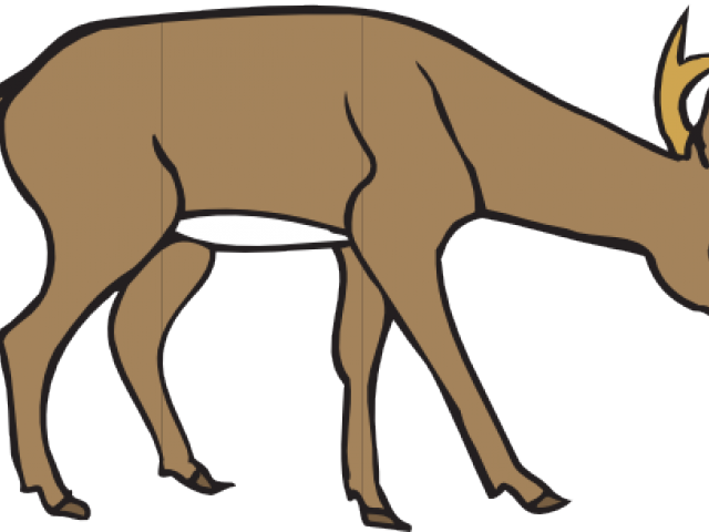 Dear Clipart Spotted Deer - Deer Eating Grass Drawing (640x480)