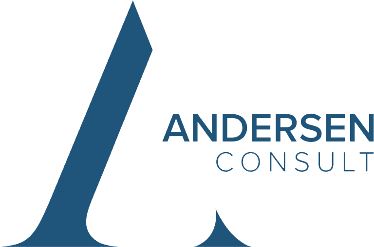 Danish Business Delegation To Morocco - Andersen Consult (768x508)