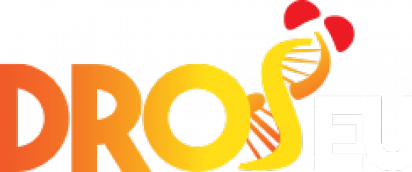 Droseu /eseb Stn Summer School On Adaptation Genomics - Graphic Design (600x250)