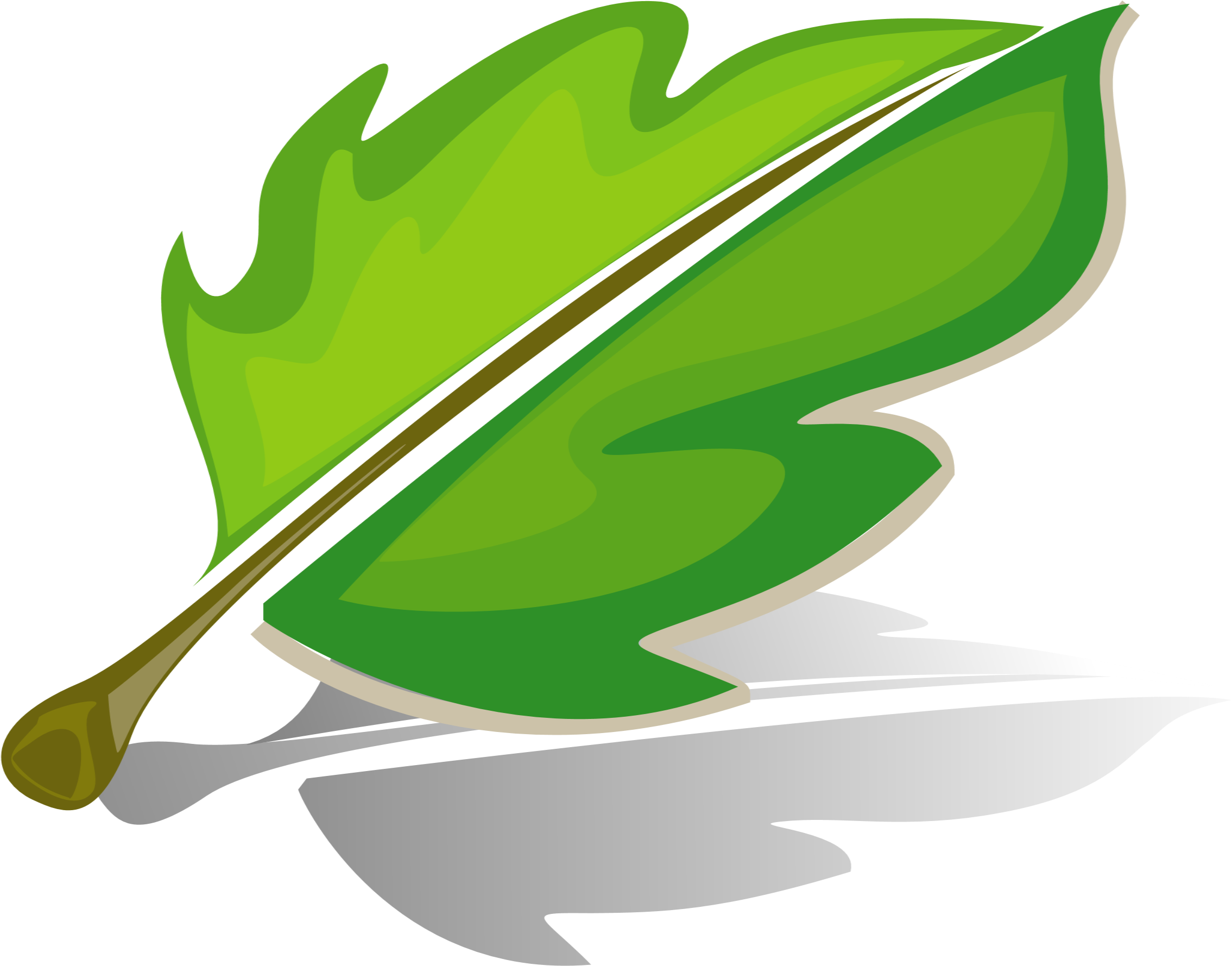 Arizona's Premier Statutory Agent Service - Arborwise Tree Service (2500x1875)