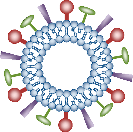 Of Virosome The Surface A Liposome Is - Viral Antigen (464x461)