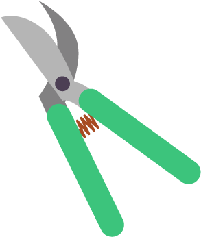 Eggplant Growing Tips - Los Angeles Clippers (560x560)