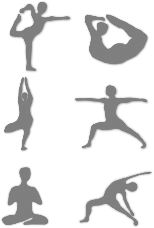 Yoga,poses,warrior - Physical Education Cover (500x739)