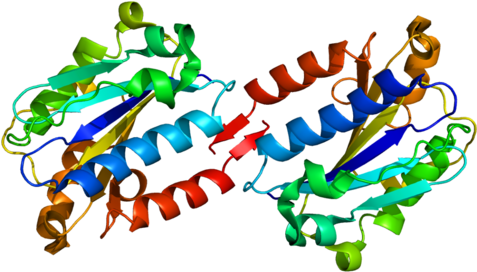 Available Structures - Integrin Alpha L (500x295)