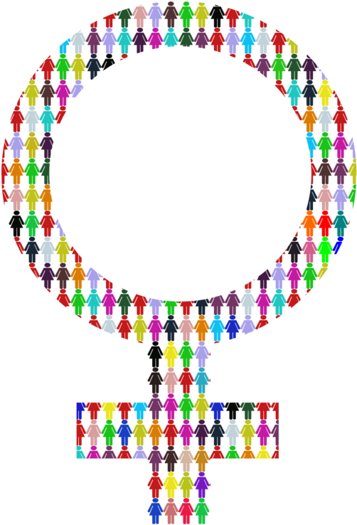 Website Development Gender Symbol Computer Icons Web - Gender Symbol (530x750)