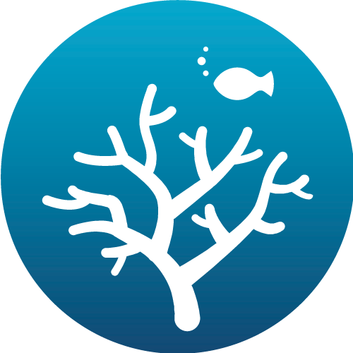 Observatories - Ecosystem (500x500)